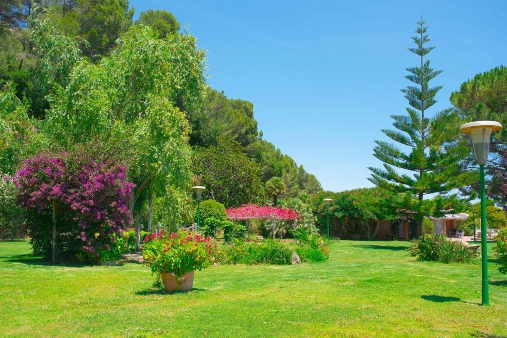 Villa Montgrau Llano de Gorra Εξωτερικό φωτογραφία